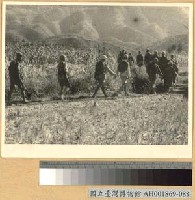 藏品(長沙外圍前線之我軍)的圖片